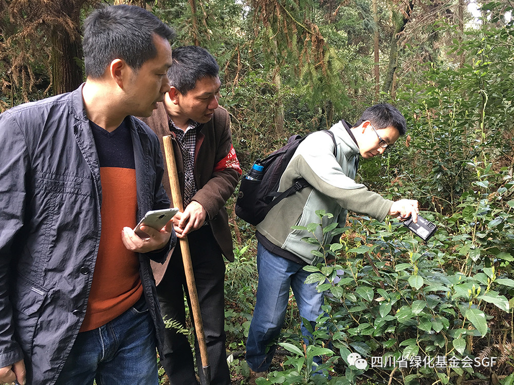 万峰山林场的自然教育实践蹒跚起步插图(3) 万峰山林场的自然教育实践蹒跚起步插图(3)