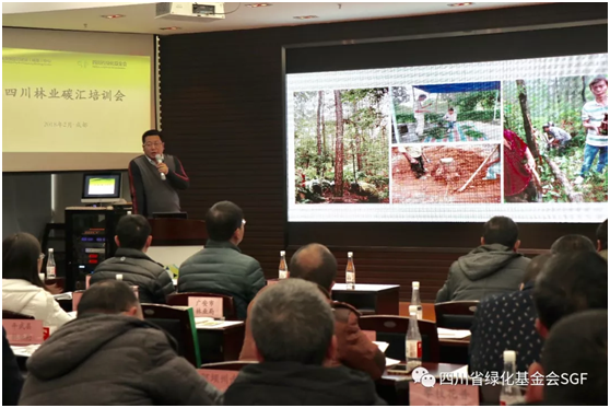 林业碳汇好多问题还搞不懂?SGF喊你上课啦!插图(10) 林业碳汇好多问题还搞不懂?SGF喊你上课啦!插图(10)