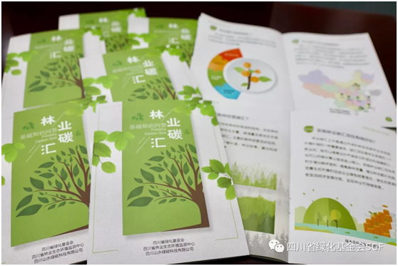 林业碳汇好多问题还搞不懂?SGF喊你上课啦!插图(11) 林业碳汇好多问题还搞不懂?SGF喊你上课啦!插图(11)