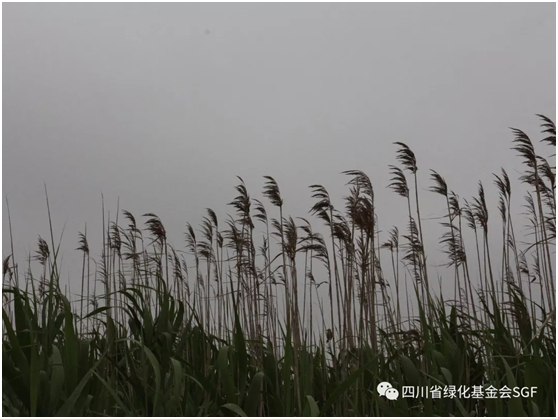 10/3941的邂逅插图 10/3941的邂逅插图