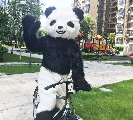 2018年成都全民义务植树暨低碳熊猫骑行活动招募插图(10) 2018年成都全民义务植树暨低碳熊猫骑行活动招募插图(10)