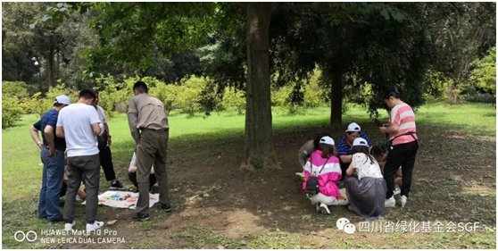 2018年,感谢每一个你插图(5) 2018年,感谢每一个你插图(5)