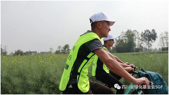 嗨~这是你没有玩过的全新版本义务植树活动插图(5) 嗨~这是你没有玩过的全新版本义务植树活动插图(5)