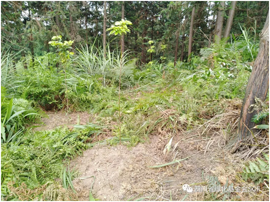 2018年,感谢每一个你插图(9) 2018年,感谢每一个你插图(9)