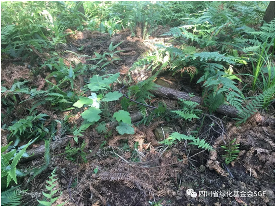 2018年,感谢每一个你插图(6) 2018年,感谢每一个你插图(6)