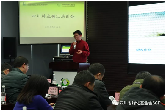 林业碳汇好多问题还搞不懂?SGF喊你上课啦!插图(4) 林业碳汇好多问题还搞不懂?SGF喊你上课啦!插图(4)