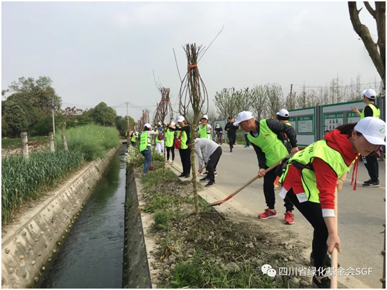 嗨~这是你没有玩过的全新版本义务植树活动插图(7) 嗨~这是你没有玩过的全新版本义务植树活动插图(7)