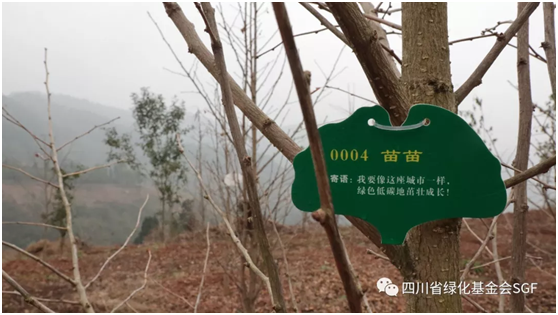 2018年,感谢每一个你插图(7) 2018年,感谢每一个你插图(7)