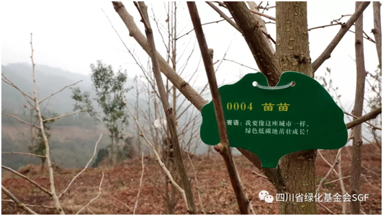 世界银行官员蓉城论“碳”插图(2) 世界银行官员蓉城论“碳”插图(2)