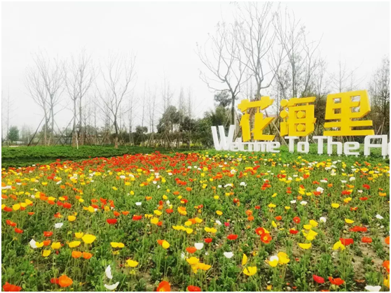 2018年成都全民义务植树暨低碳熊猫骑行活动招募插图(3) 2018年成都全民义务植树暨低碳熊猫骑行活动招募插图(3)
