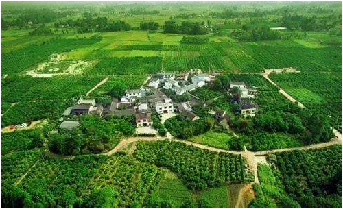 2018年成都全民义务植树暨低碳熊猫骑行活动招募插图(2) 2018年成都全民义务植树暨低碳熊猫骑行活动招募插图(2)