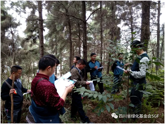 森林质量精准提升,我们行进在“近自然”的路上插图 森林质量精准提升,我们行进在“近自然”的路上插图