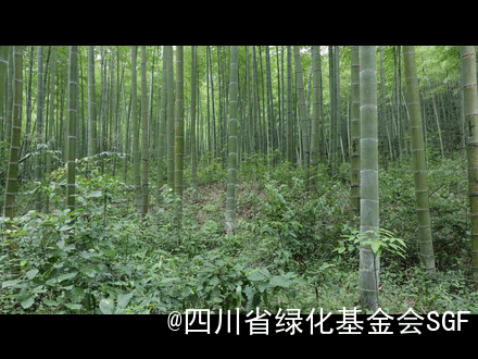 我的美,要让你知道插图 我的美,要让你知道插图