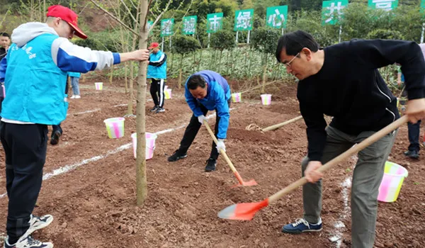 2020年四川省直机关、高校、企业、金融机构龙泉山城市森林公园“包山头”植树履责活动启动插图(1) 2020年四川省直机关、高校、企业、金融机构龙泉山城市森林公园“包山头”植树履责活动启动插图(1)