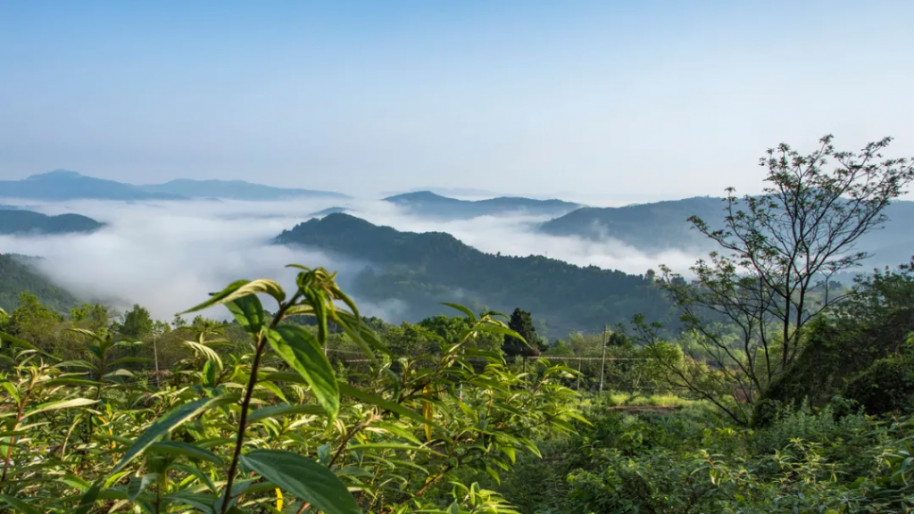 视频:成都龙泉山生态人文摄影赛——今天你用手机拍照了吗?插图 视频:成都龙泉山生态人文摄影赛——今天你用手机拍照了吗?插图
