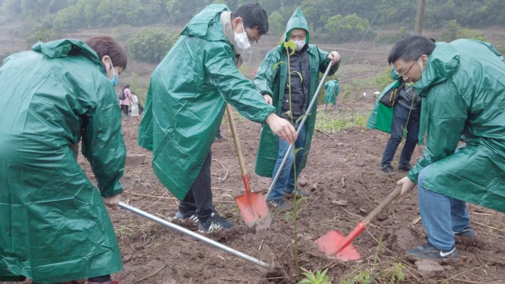 视频:成都龙泉山生态人文摄影赛——植树现场的摄影分享会插图(1) 视频:成都龙泉山生态人文摄影赛——植树现场的摄影分享会插图(1)