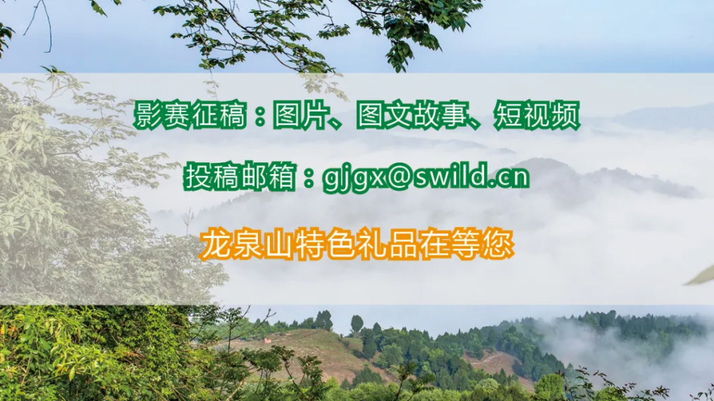 视频:成都龙泉山生态人文摄影赛——今天你用手机拍照了吗?插图(3) 视频:成都龙泉山生态人文摄影赛——今天你用手机拍照了吗?插图(3)