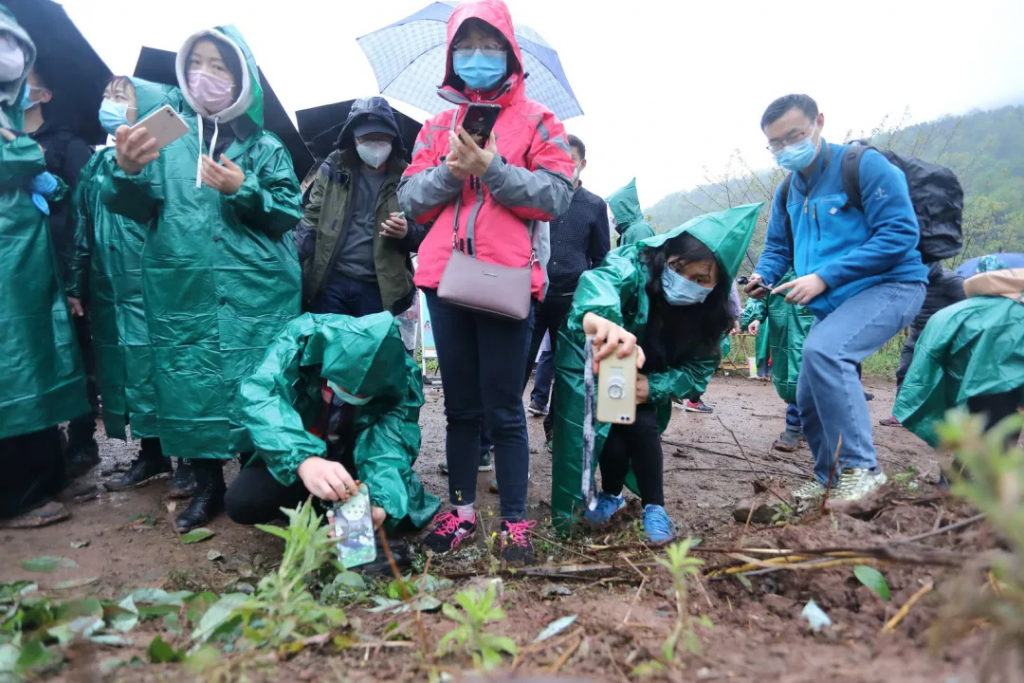视频:成都龙泉山生态人文摄影赛——植树现场的摄影分享会插图(4) 视频:成都龙泉山生态人文摄影赛——植树现场的摄影分享会插图(4)