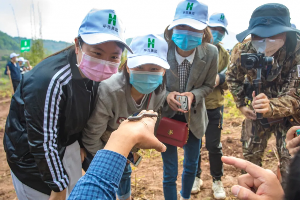 视频:成都龙泉山生态人文摄影赛——今天你用手机拍照了吗?插图(11) 视频:成都龙泉山生态人文摄影赛——今天你用手机拍照了吗?插图(11)