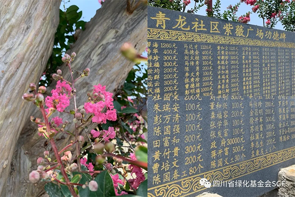 四川省绿化基金会开展“七一”主题党日活动插图(1) 四川省绿化基金会开展“七一”主题党日活动插图(1)