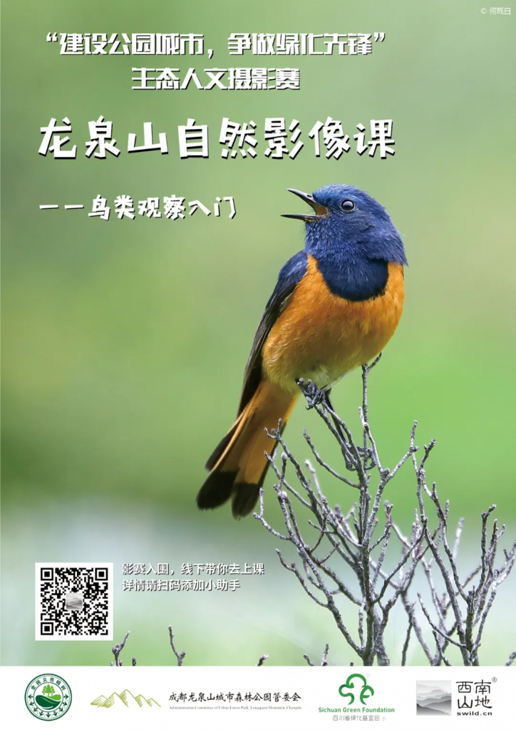 6.5世界环境日:用镜头捕捉生物多样性之美插图(2) 6.5世界环境日:用镜头捕捉生物多样性之美插图(2)